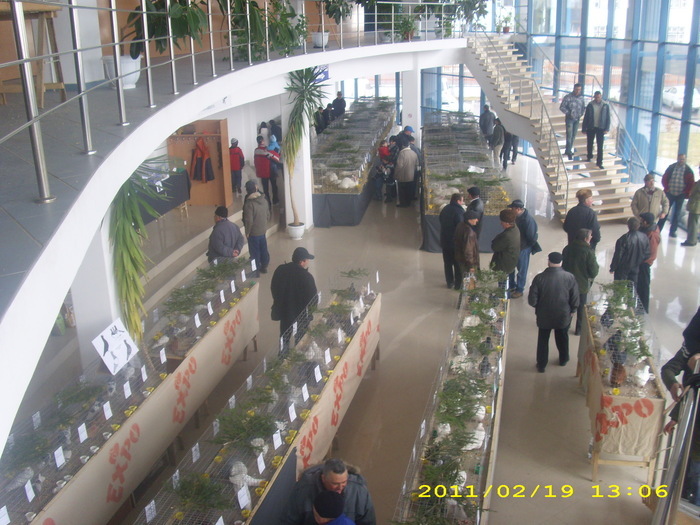 expo tg.secuesc - 7-anunt important