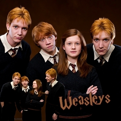 Fred si George Weasley 6