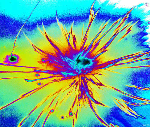 fin_morris_feuer_3_multicolor[1]