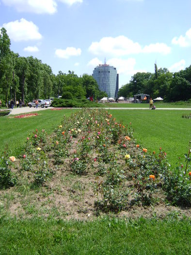 DSC00863 - PARCUL HERASTRAU