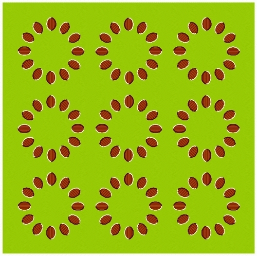 iluzie_optica - Iluzii optice