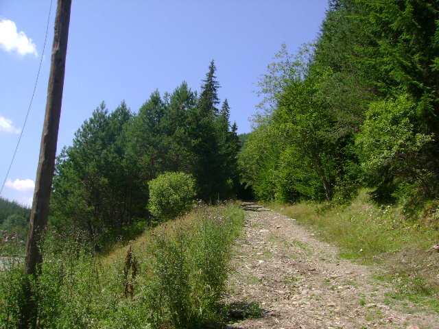  - in borsa in concediu