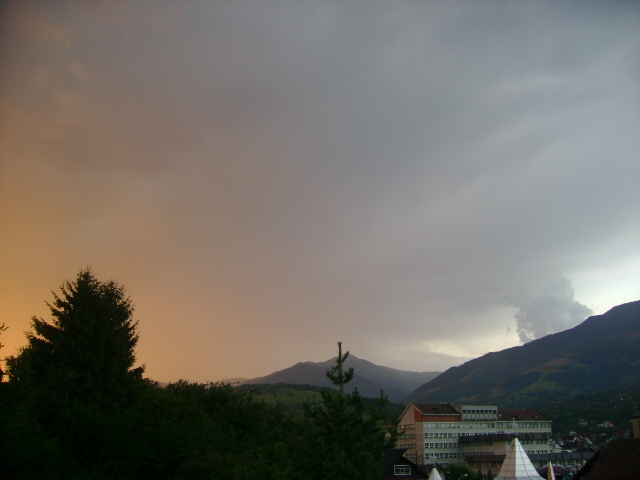  - in borsa in concediu