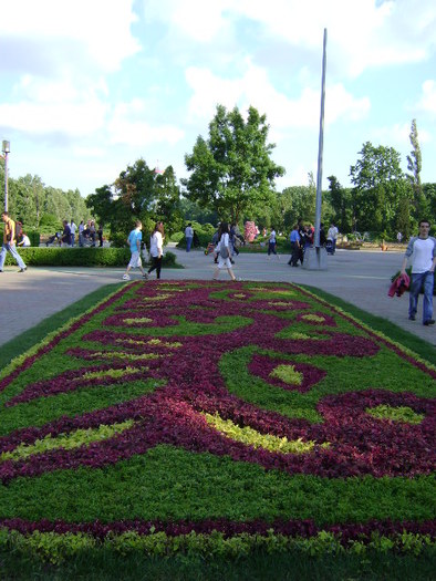 DSC00922 - PARCUL HERASTRAU