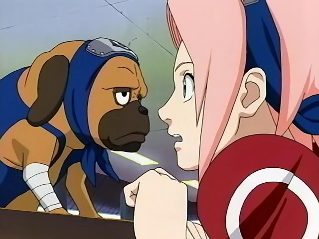 Amandoua vorbim cu cainii :)) - in Naruto