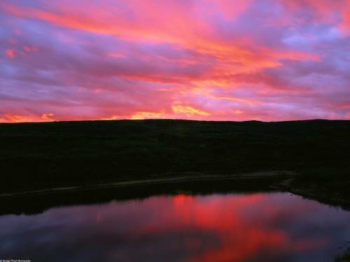 Pesaje Wallpapers_ Apus in Alaska - WooW 2