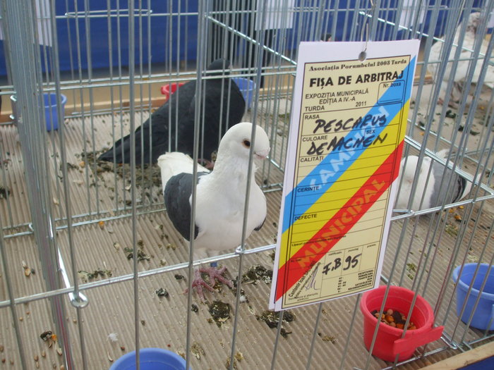 DSCF3331 - Expo Turda 2011