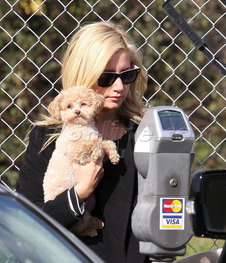 11441157_AKMUNGIKQ - ashley tisdale