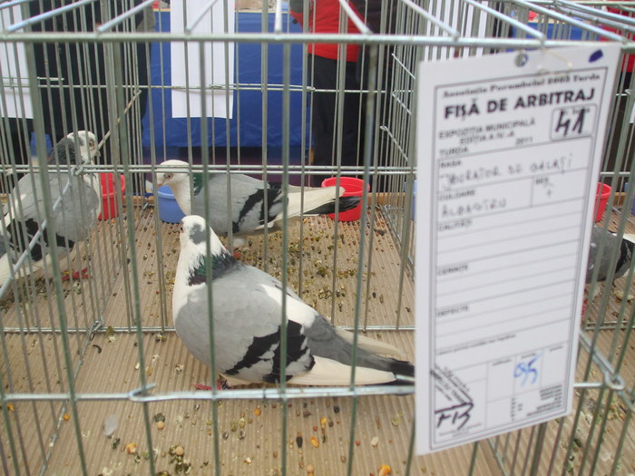 DSCF3353 - Expo Turda 2011