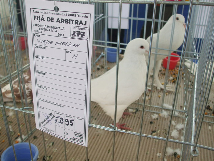 DSCF3357 - Expo Turda 2011