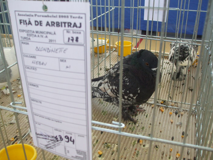 DSCF3384 - Expo Turda 2011