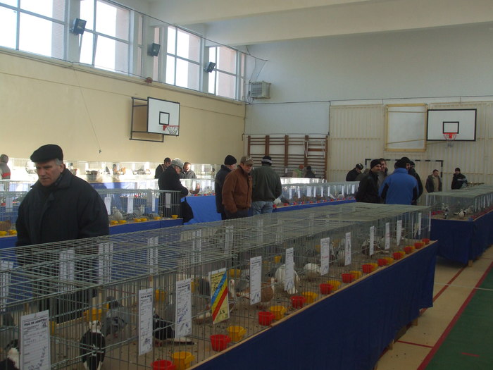 DSCF3406 - Expo Turda 2011