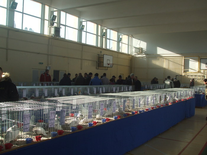 DSCF3455 - Expo Turda 2011