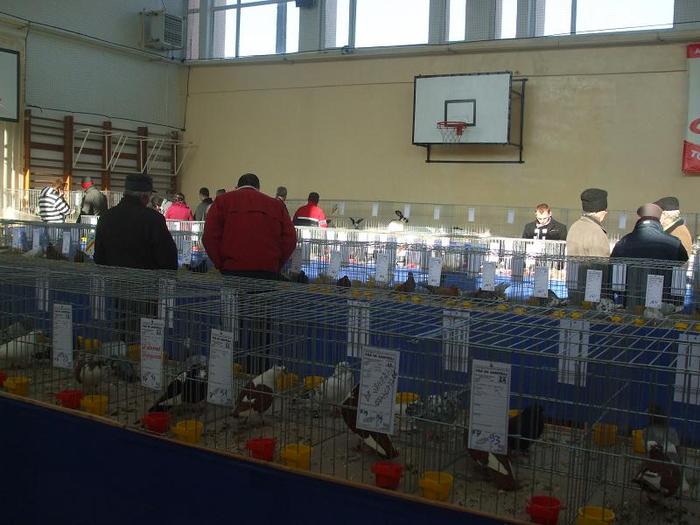 DSCF3474 - O- EXpozitia Turda 2011