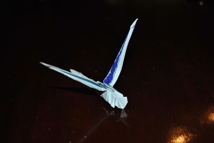 DSC_0004 - origami