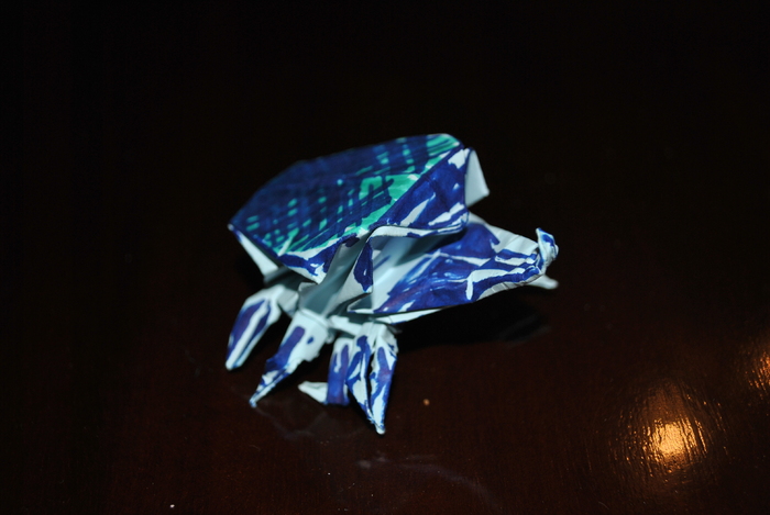 DSC_0005 - origami