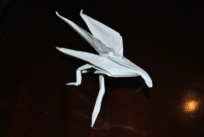 DSC_0006 - origami