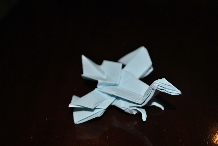 DSC_0008 - origami