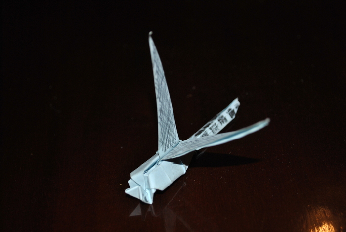 DSC_0010 - origami