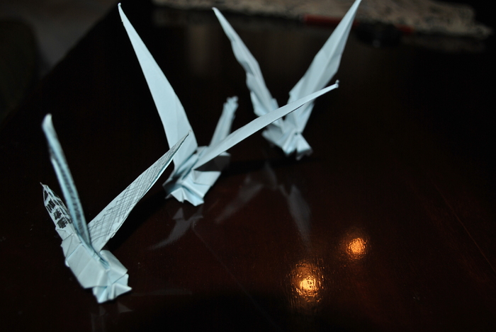 DSC_0011 - origami