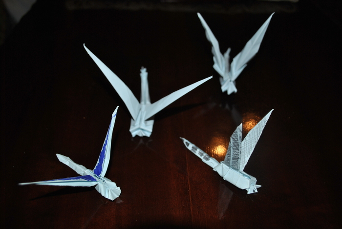DSC_0012 - origami