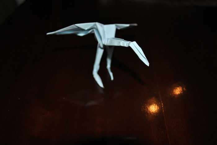 DSC_0013 - origami