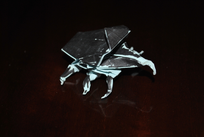 DSC_0014 - origami