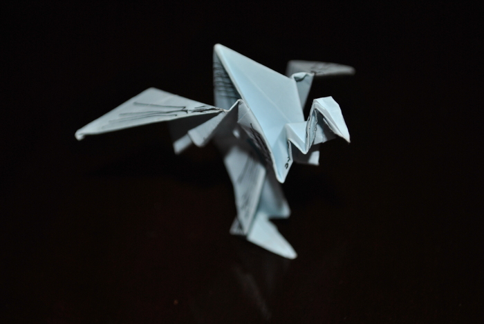 DSC_0015 - origami