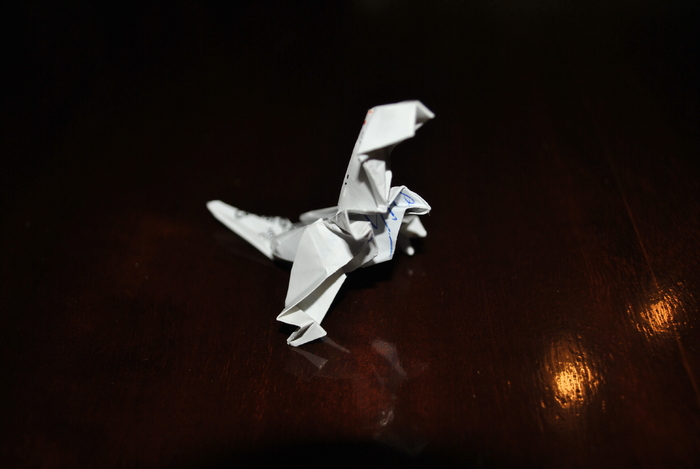 DSC_0017 - origami