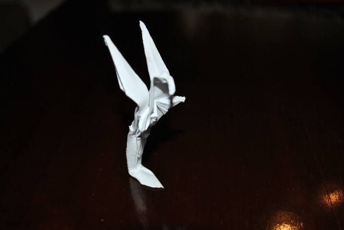 DSC_0019 - origami