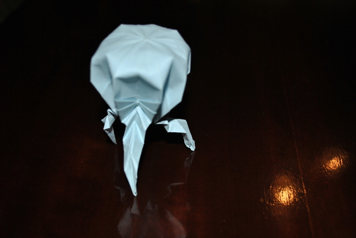 DSC_0020 - origami