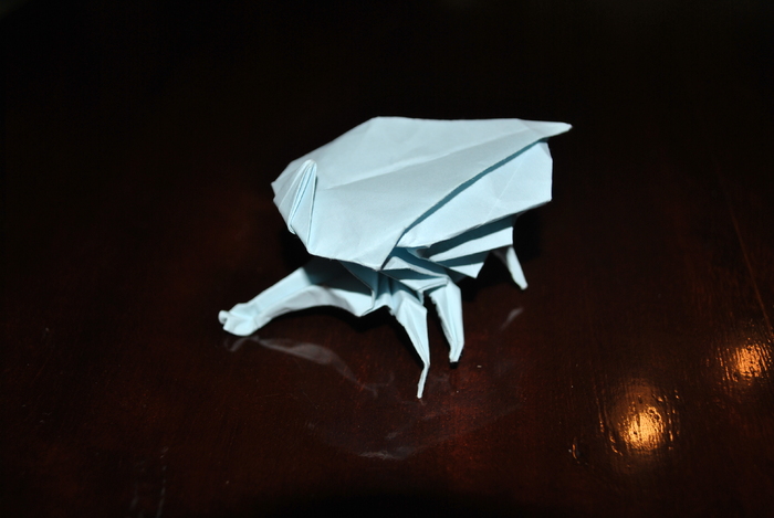 DSC_0022 - origami