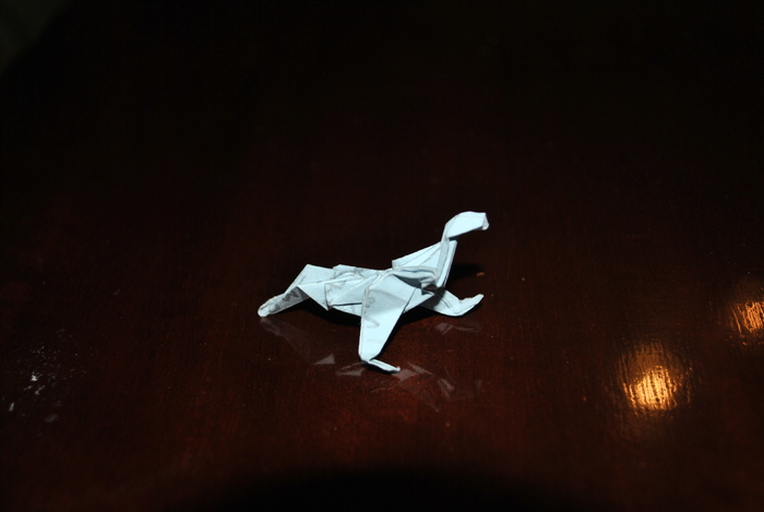 DSC_0023 - origami