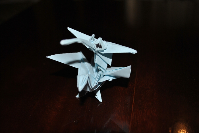 DSC_0024 - origami