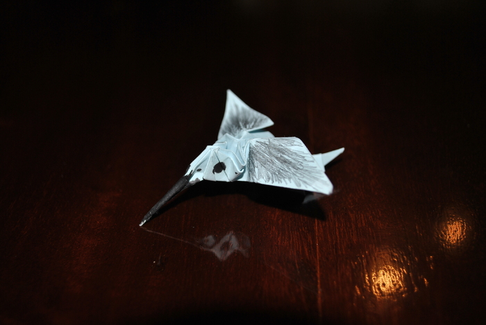 DSC_0025 - origami