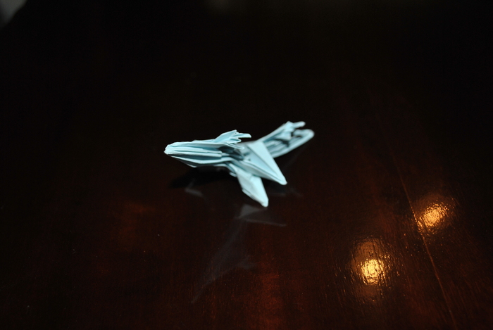DSC_0032 - origami