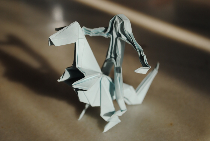 DSC_0067 - origami