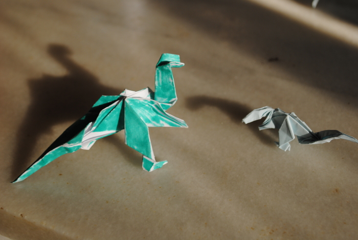 DSC_0070 - origami