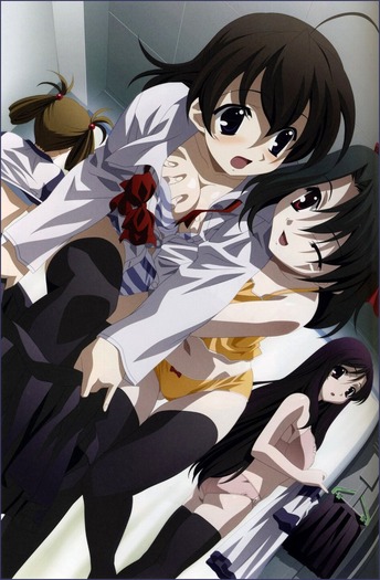 Amandoua avem o prietena care ne e ca o sora si face lucruri perverse cu noi - in School Days