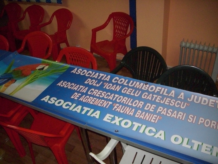 asciatia exotica - ASOCIATIA EXOTICA OLTENIA