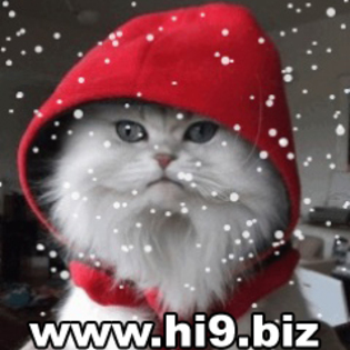 poze craciun[1]