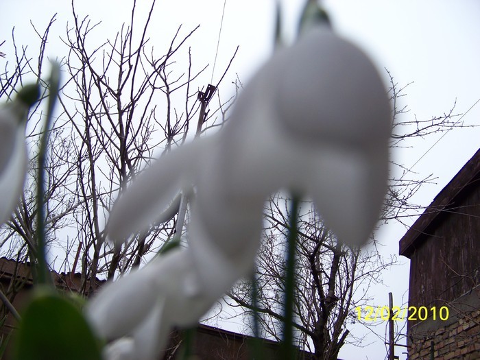 10845473_TZFQGNDBP - FLORI