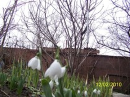 10845471_LPRCAOIYW - FLORI
