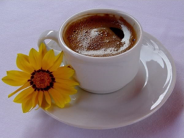 00De053xBU7 - flori si cafea123