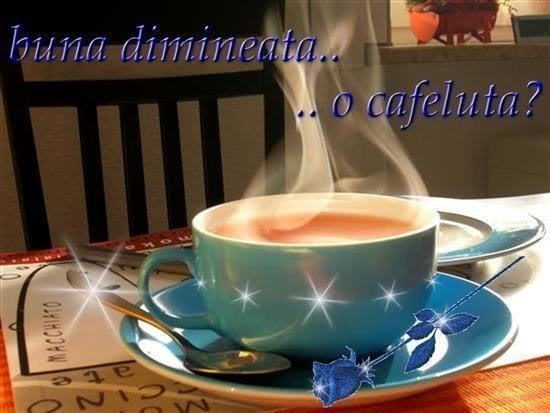 1-15 - flori si cafea123