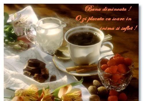 002G052Y_Q8 - flori si cafea123