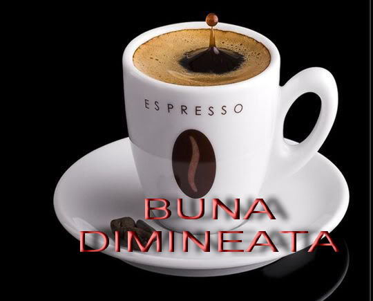 0056052S_1D - flori si cafea123