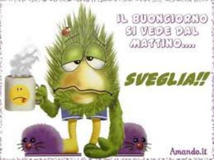 64312_118976431491836_100001384381608_118334_4109436_n - flori si cafea123