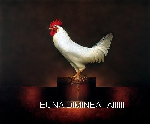 11277226-bunadimineata