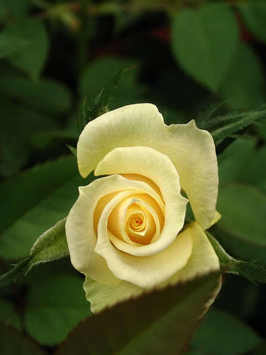 416831336_e8d2ccea99